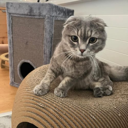 WhatsApp Image 2025-10-08 at 11.15.43 PM